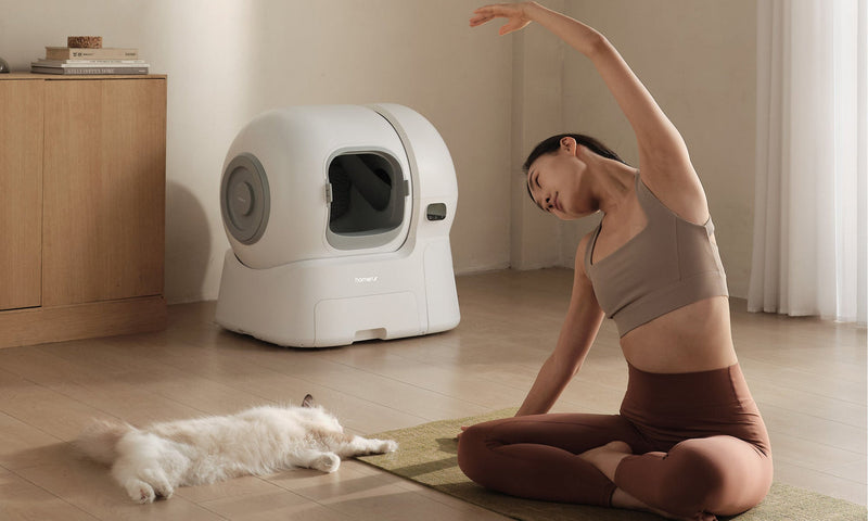 スコップ掃除はもう卒業：手動よりhomerunPET自動猫トイレを選ぶべき7つの理由