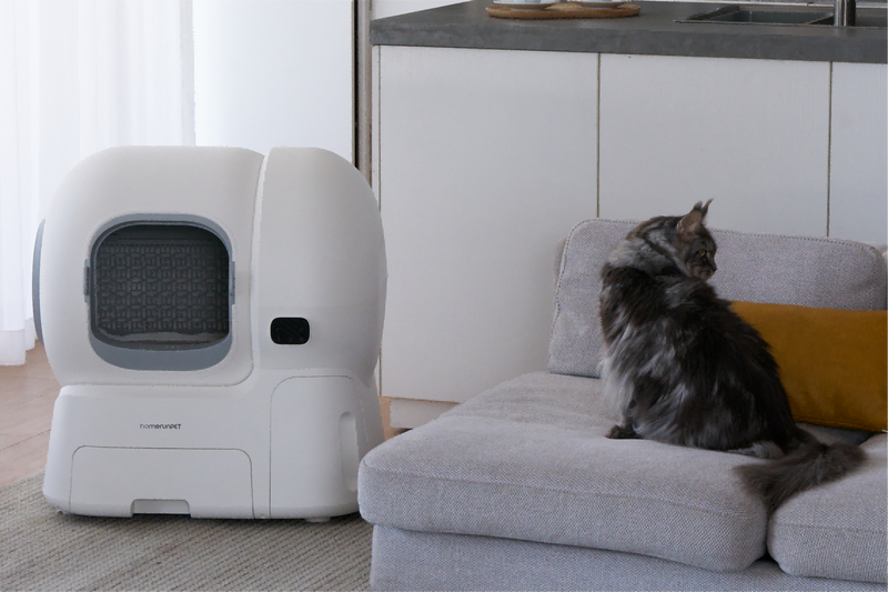 猫トイレが「狭すぎる」とき、そのストレスは家全体に広がります