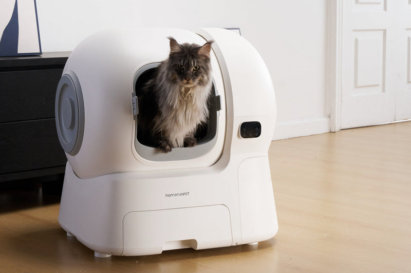 毎日掃除しているのに、なぜ猫トイレはまだ臭うのか？