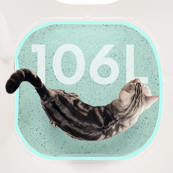 106Lの広々としたドーム